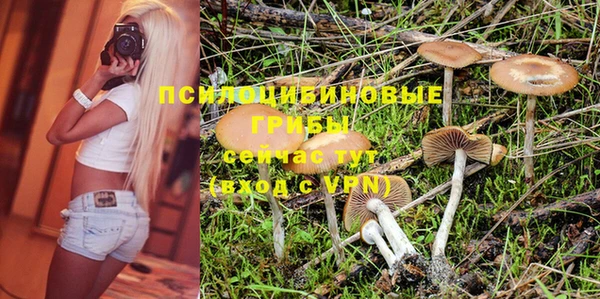 стафф Белоозёрский