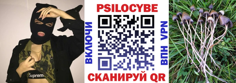 Галлюциногенные грибы прущие грибы  Пестово 